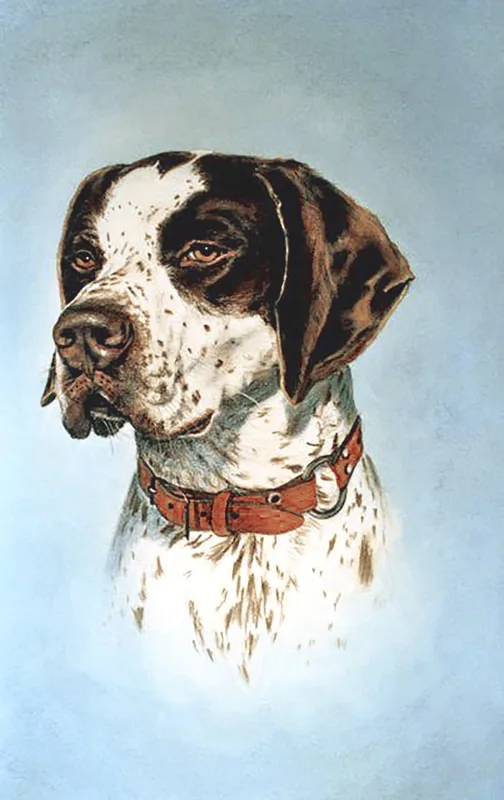 Chalk pastel portrait of German Pointer