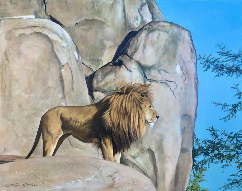 Lion perched on a high rock surveying his kingdom, oil and prints.