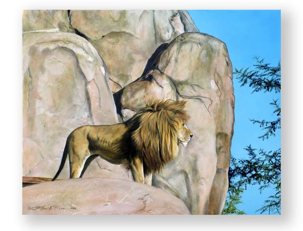 A magnificent, full-maned, male lion stands upon a rock surveying his kingdom.
