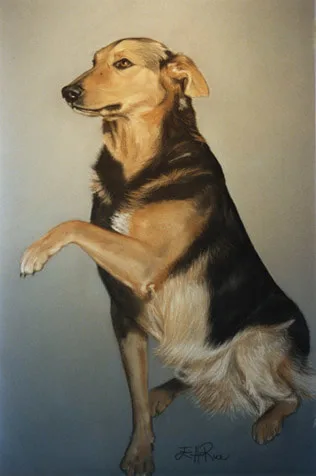 Pastel portrait of Shep, beloved pet.