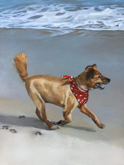 A family's pet running down the beach wearing a red scarf.