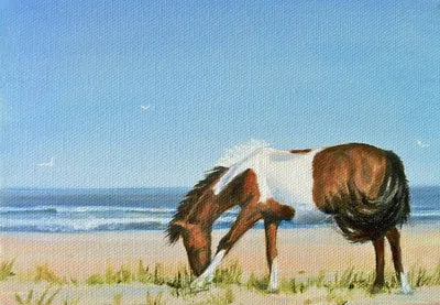 An Assateague pony munches on  salty and sweet dune grass on a sunny day on the island. The sun lights up breaking waves and the glistening brown and white pony in the foreground.
