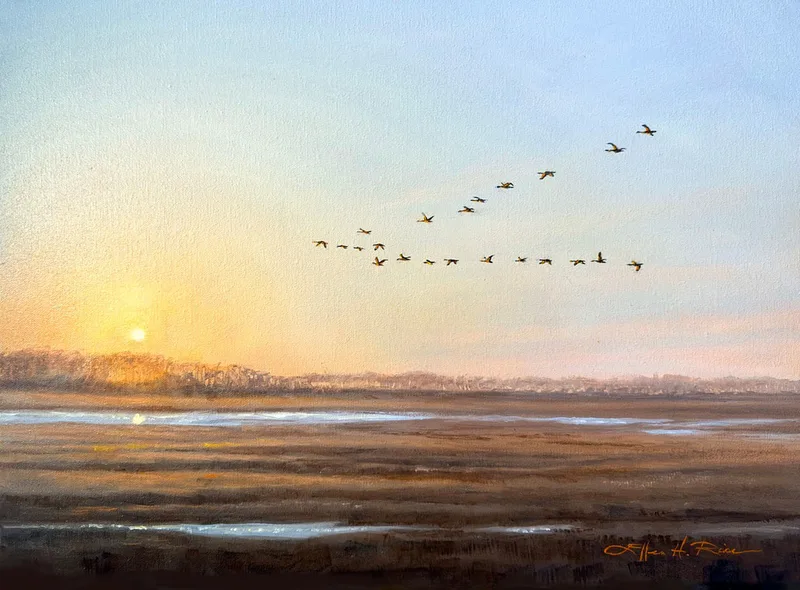 Geese fly southward over marshes, backlit by the setting sun. They overwinter in Delaware and often go from field to field, this one to the south of their last feeding area.