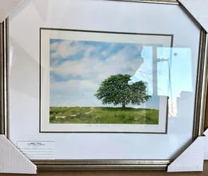 Picture